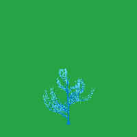 greenshift tree