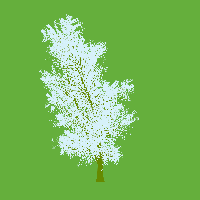 greenshift tree