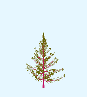 greenshift tree