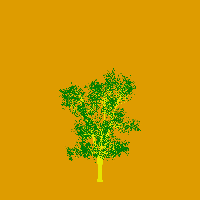 greenshift tree