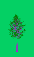 greenshift tree