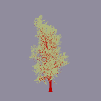 greenshift tree