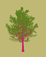 greenshift tree