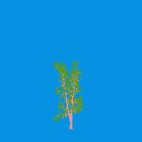 greenshift tree