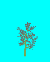 greenshift tree