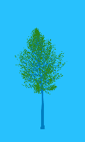 greenshift tree