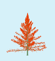 greenshift tree