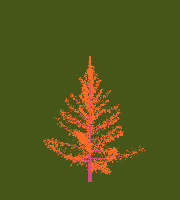 greenshift tree