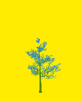 greenshift tree