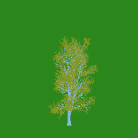 greenshift tree