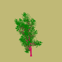 greenshift tree