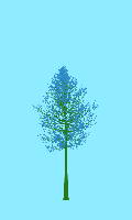 greenshift tree