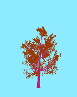 greenshift tree
