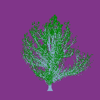 greenshift tree