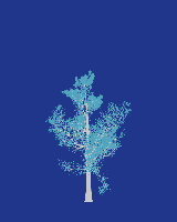 greenshift tree
