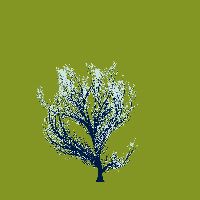 greenshift tree