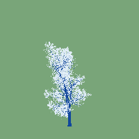 greenshift tree