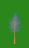 greenshift tree