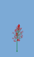greenshift tree
