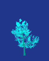 greenshift tree