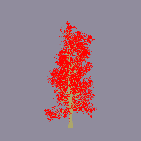 greenshift tree