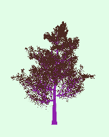 greenshift tree