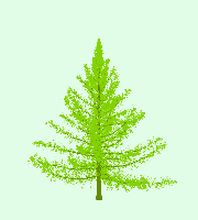 greenshift tree