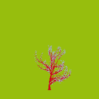greenshift tree