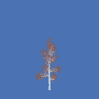 greenshift tree
