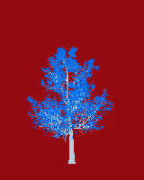 greenshift tree