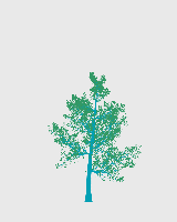 greenshift tree