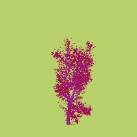 greenshift tree