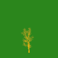 greenshift tree