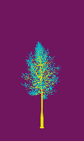 greenshift tree