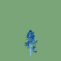 greenshift tree