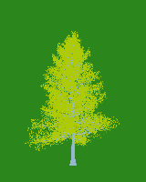 greenshift tree