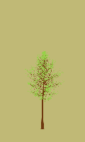 greenshift tree