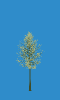 greenshift tree