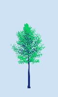 greenshift tree