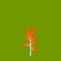 greenshift tree