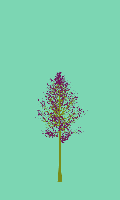 greenshift tree