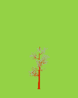greenshift tree