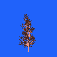 greenshift tree
