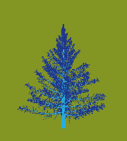 greenshift tree