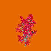 greenshift tree
