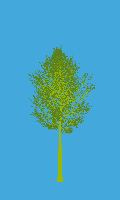 greenshift tree