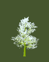 greenshift tree