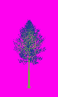 greenshift tree