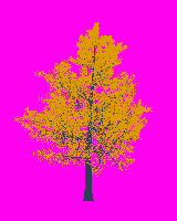 greenshift tree