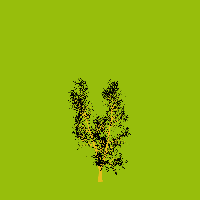 greenshift tree